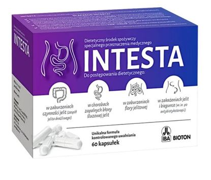 Obrazek Intesta 60 kapsułek